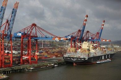 доставка грузов из калькутты в россию